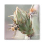 Bee and Prickly Pear Magnet