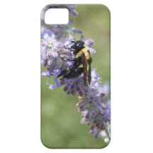 Bee and Salvia iphone case iPhone 5 Case