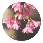 Bee and Taiwan Cherry Sticker
