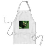 bee aprons