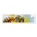 Bee At The Del Mar Fairgrounds Bumper Sticker