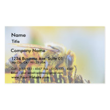 Bee At The Del Mar Fairgrounds Business Card Template