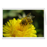 Bee at Work Card