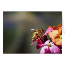 Bee-atiful Bee! Cards