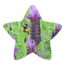 Bee Aware Star Sticker