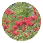 Bee Balm and Milkweed 2 Bookmark Stickers