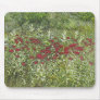 Bee Balm (Bergamont) in August Mouse Mats