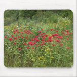 Bee Balm (Bergamot) mousepads