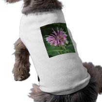Bee Balm Flower Dog Shirt