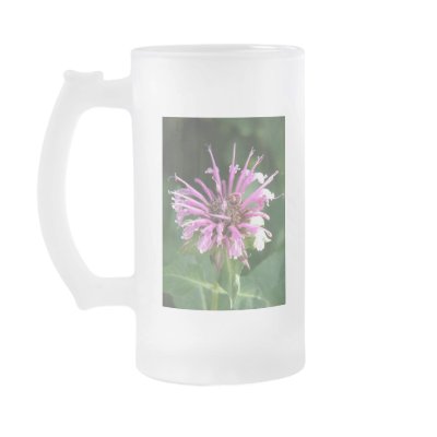 Bee Balm Flower Frosted Beer Mug by PerennialGardens