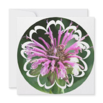 Bee Balm Flowers Invitation