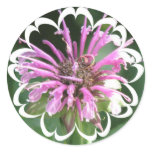 Bee Balm Flowers Sticker