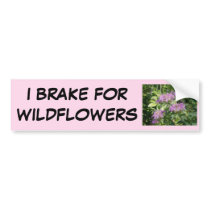 Bee Balm, Monarda Fistulosa Bumper Stickers