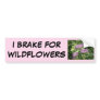 Bee Balm, Monarda Fistulosa Bumper Stickers