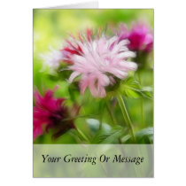 Bee Balm (Monarda) Flowers - Abstract Greeting Card