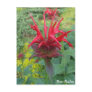 Bee Balm Post Card