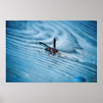 Bee Blue Poster