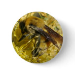 Bee Button