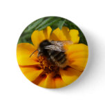 Bee Button