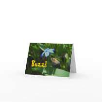 Bee, Buzz Notecard!
