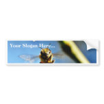 Bee Buzzing Around The Lemon Tree On My Balcony bumper stickers
