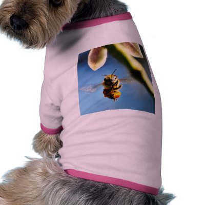 Bee Buzzing Around The Lemon Tree On My Balcony Doggie Tee by lifesphere