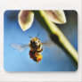 Bee Buzzing Around The Lemon Tree On My Balcony Mousepads