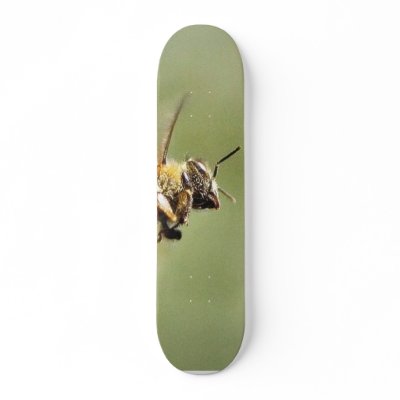 Bee Buzzing Around The Myer Lemon Tree On My Balco Custom Skateboard by lifesphere