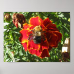 Bee Bzzzy Print