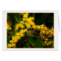 Bee Card