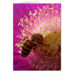 Bee Card
