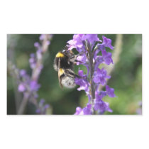 Bee collecting Pollen Card Rectangular Stickers