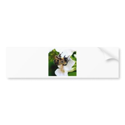 Bee covered with pollen. bumper stickers by brassica