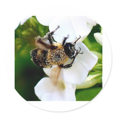 Bee covered with pollen. stickers by brassica