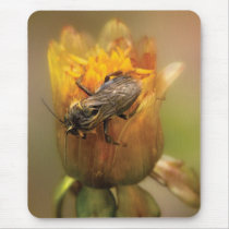 Bee - Dare to BEE Different