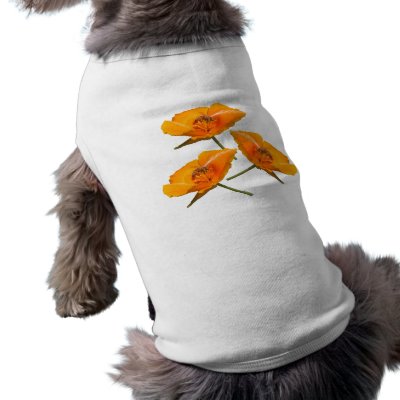 Bee Falling Poppies Dog Shirts by wingedturtle