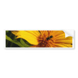 Bee Flower bumper stickers