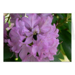 Bee-Flower-New England-Azaleas Greeting Card