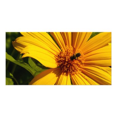 Bee Flower by Debrene