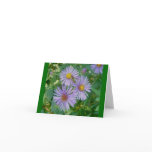 Bee Fly Purple Asters Note Card