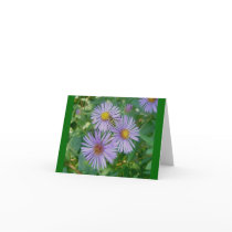 Bee Fly Purple Asters Note Card
