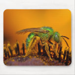 Bee Getting Sweet 1 mousepads