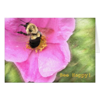 Bee Happy Greeting Cards by bendersNS