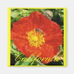 Bee Happy Fridge Magnets