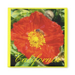 Bee Happy Fridge Magnets