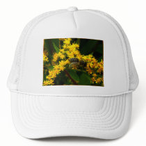 Bee Hat