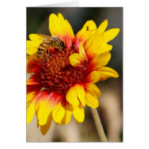 Bee II Greeting Cards