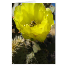 Bee in Cactus Flower Cards