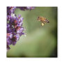 Bee in Flight Magnet