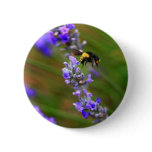 Bee in Lavender Pins